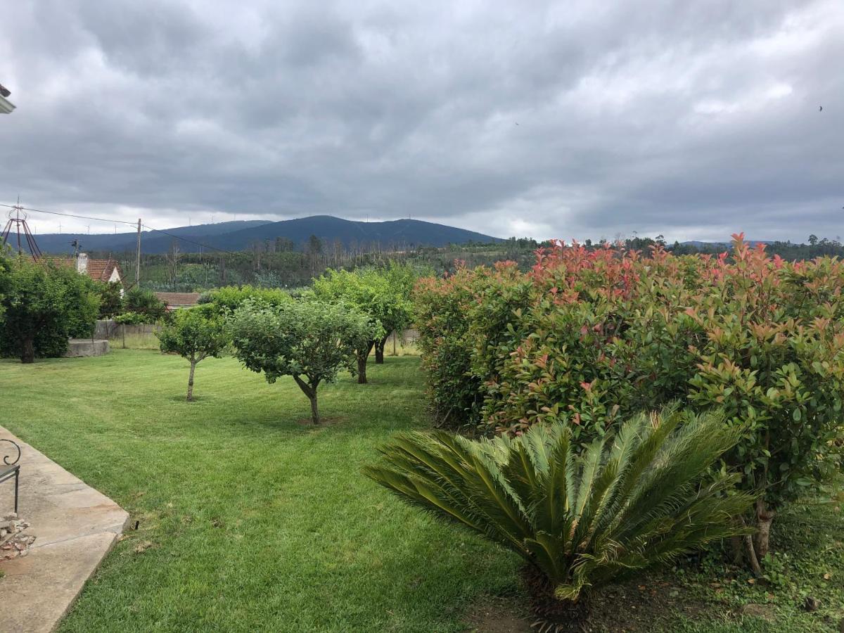 Vila Delfina Lousã Exteriör bild