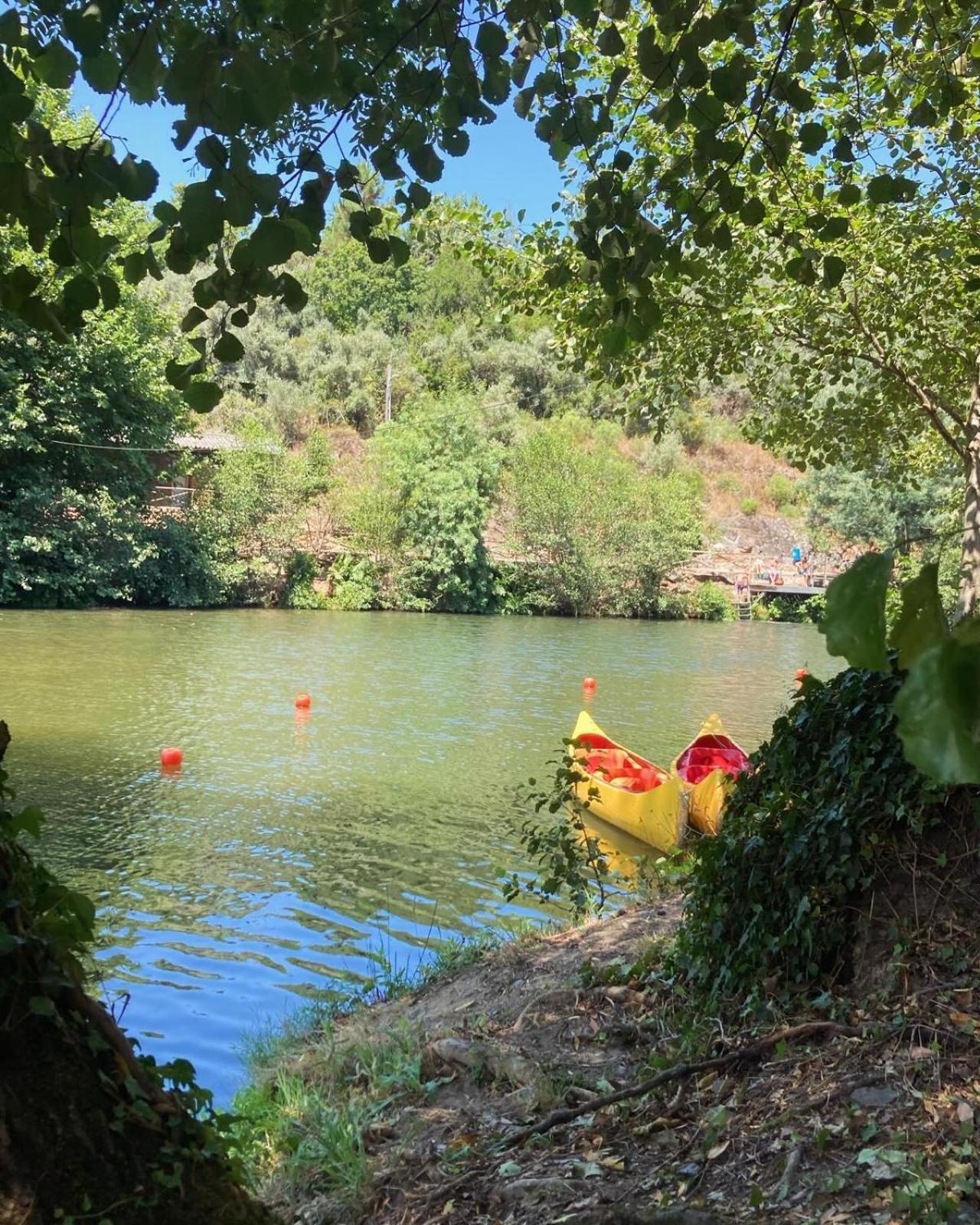 Vila Delfina Lousã Exteriör bild