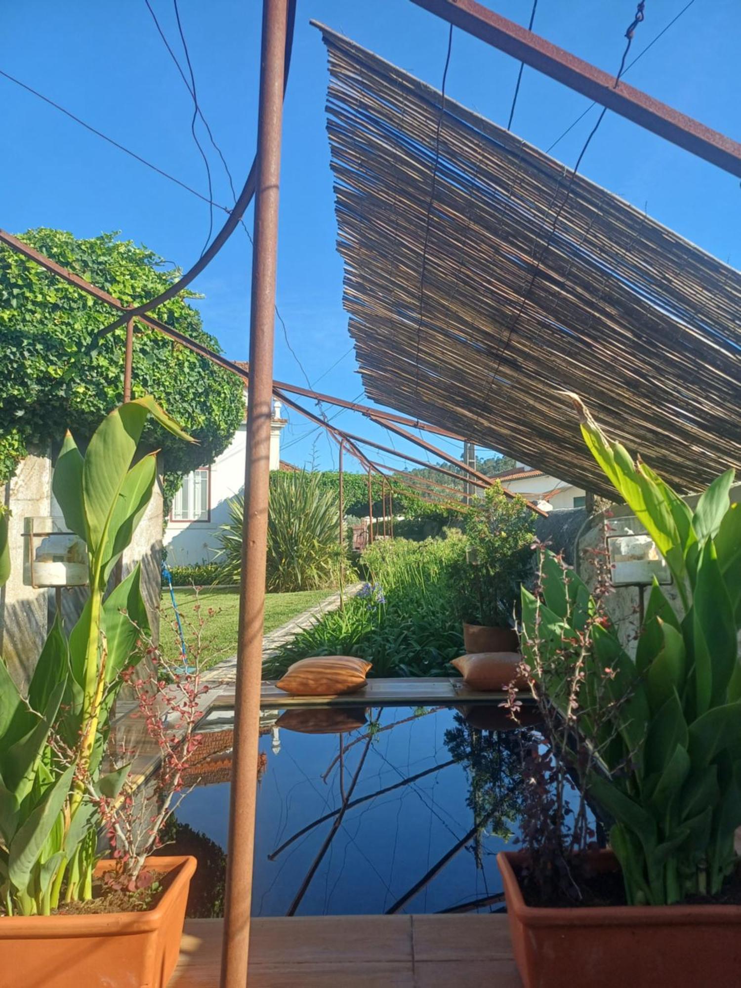 Vila Delfina Lousã Exteriör bild