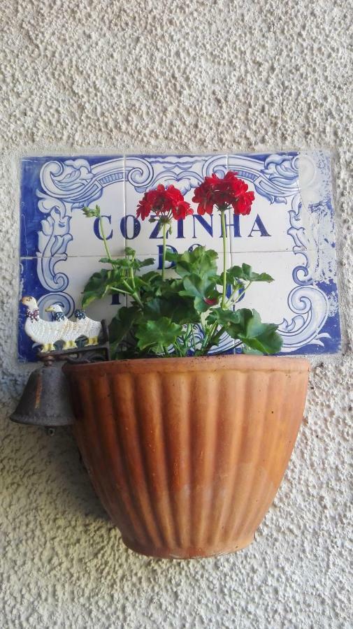 Vila Delfina Lousã Exteriör bild